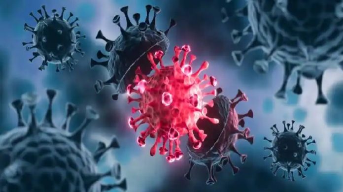 Here is Everything You Should Know about Coronavirus