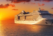 Cruise Insurance & Fee Waiver Programs!